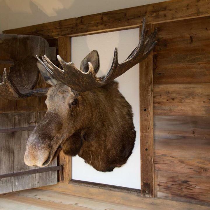 Chalet ELK Lenk im Simmental Exterior foto